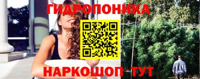 эйфоретик Новозыбков