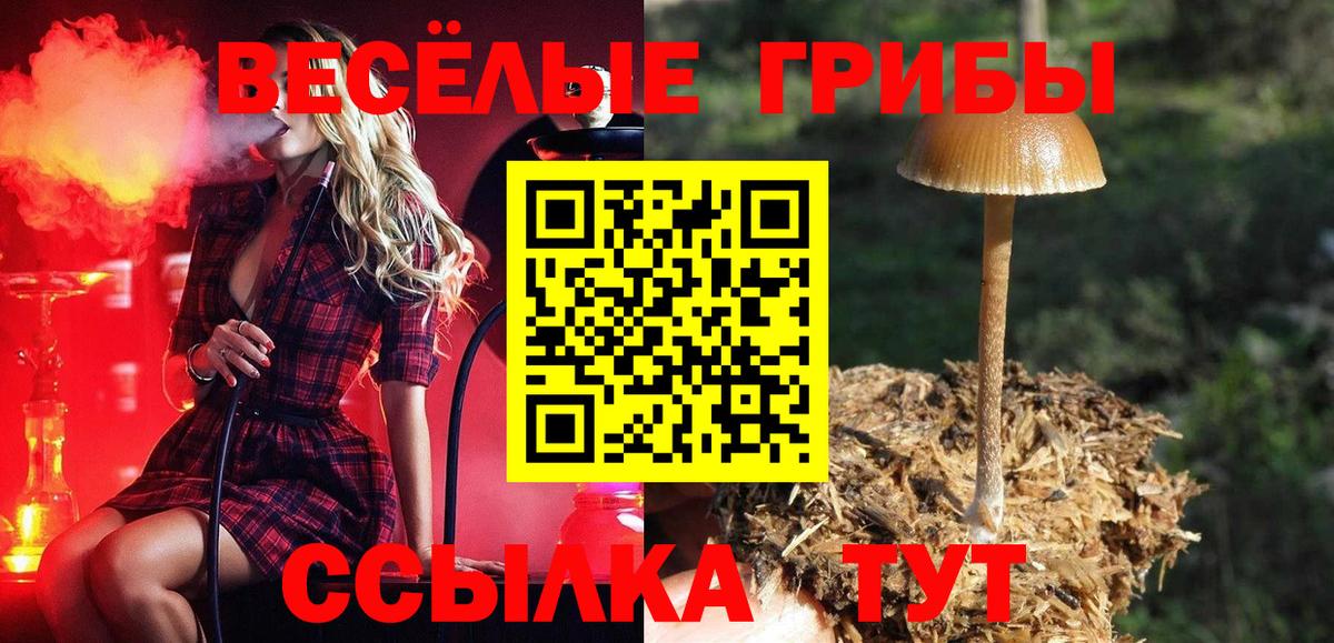 наркотики  Вход с VPN  Псилоцибиновые грибы ЛСД  Сыктывкар  Галлюциногенные грибы Cubensis 